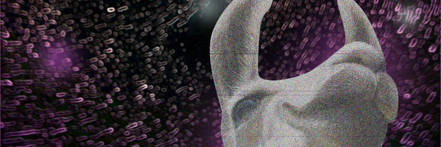 hgtp://schradayta banner