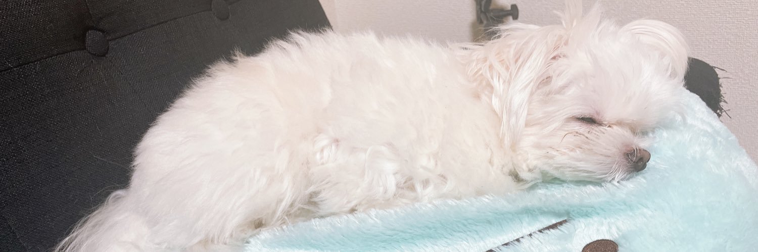 みなせちわ banner