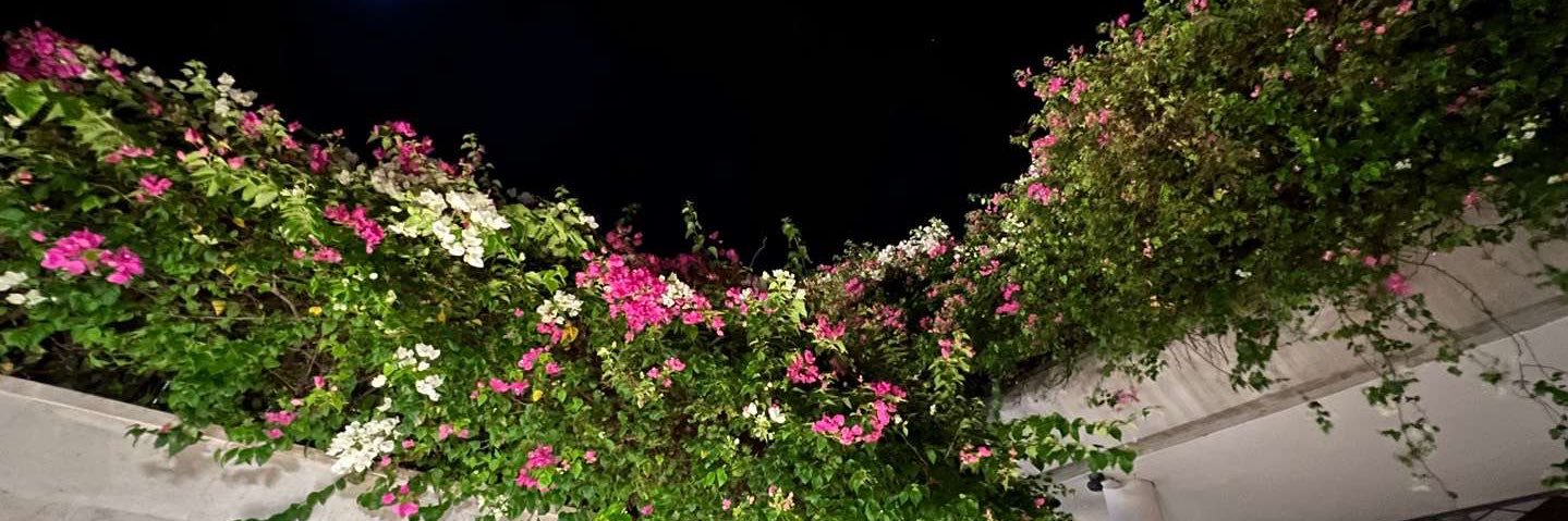 itzxueer's profile banner image