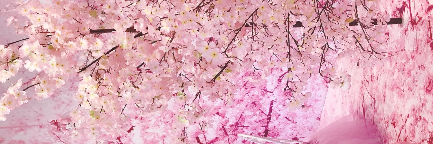 なのだへけ's banner