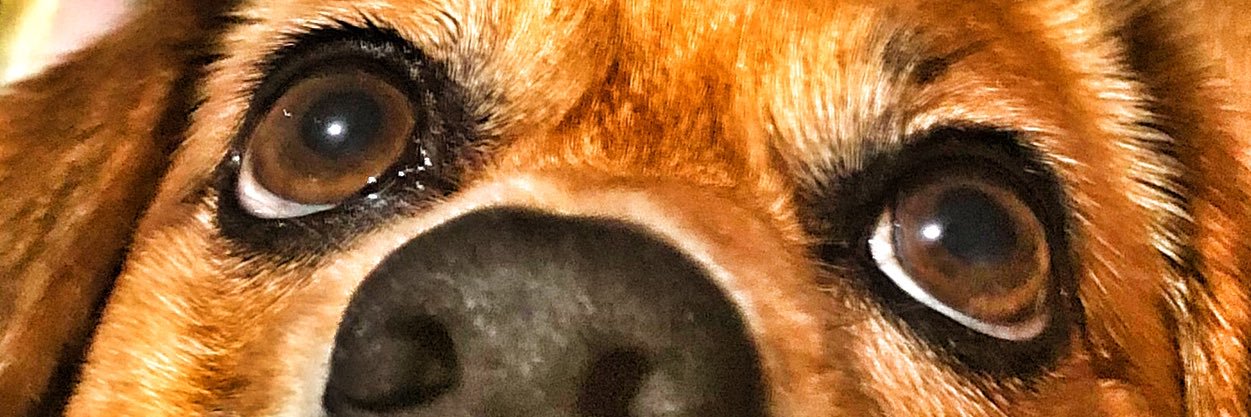 dghart74's profile banner image