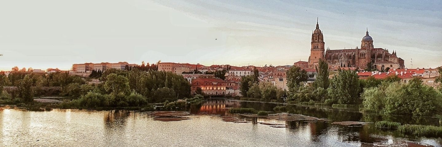 Ana Suárez Otero banner