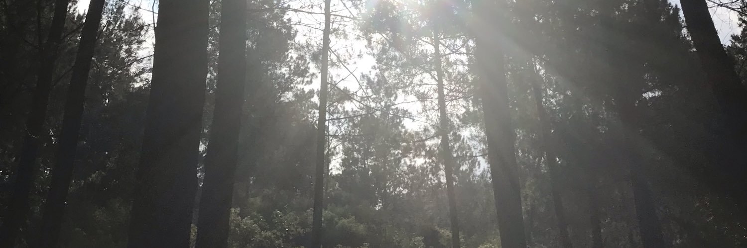 DudukManja's profile banner image