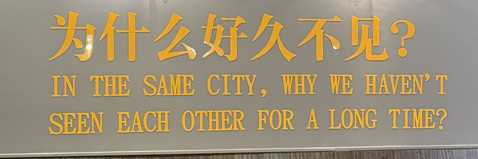 shevcha ✴️'s banner