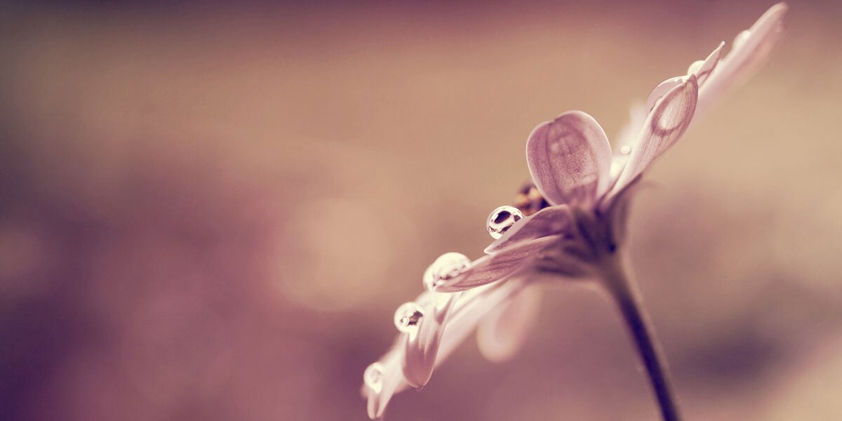 chaki_esmeree's profile banner image
