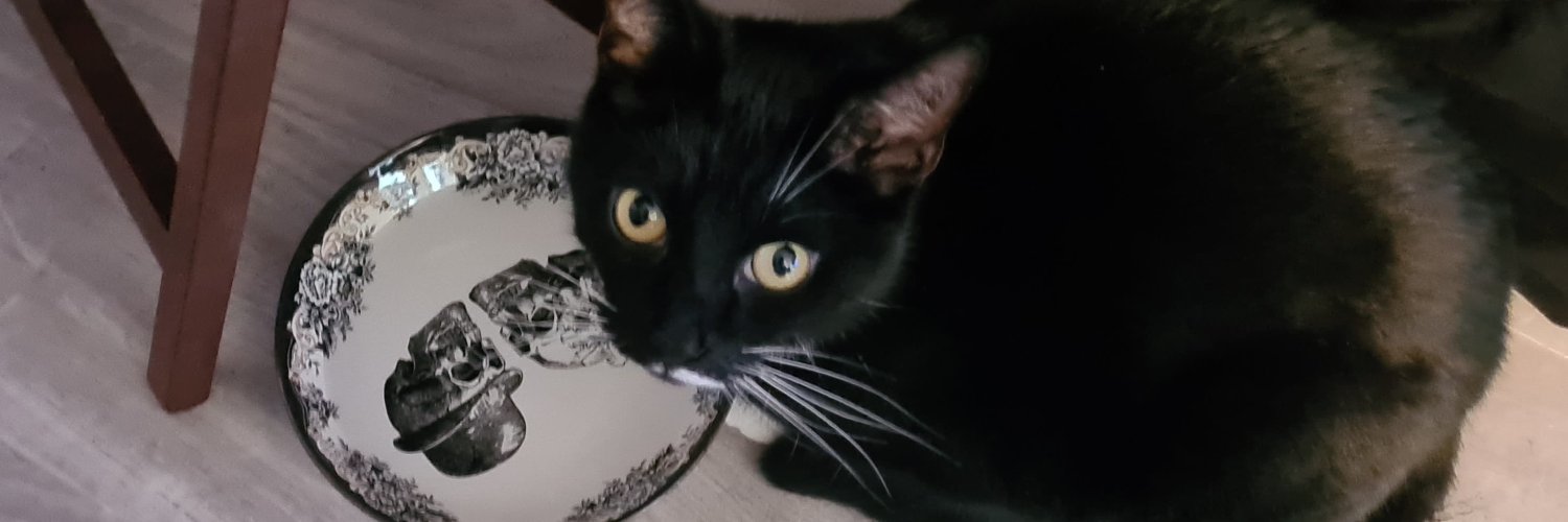 Rhiannon Jenkins banner