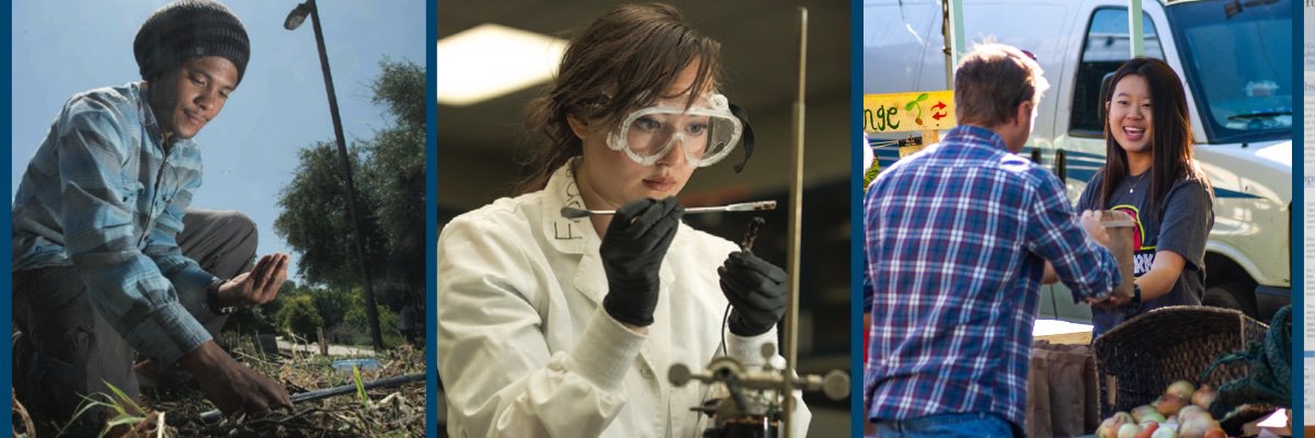 Academic Innovation banner