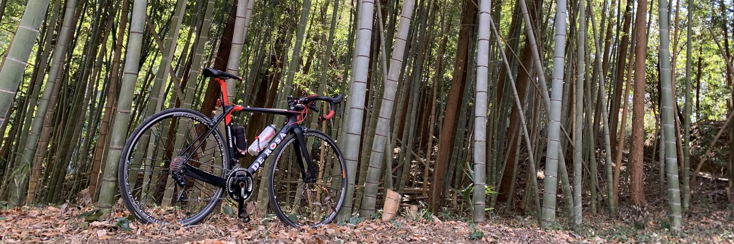 独身没落貴族ひろ banner