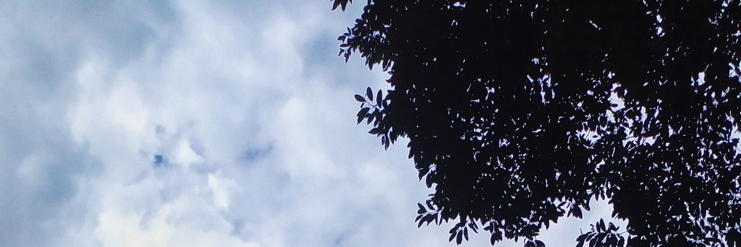 lufitalias's profile banner image