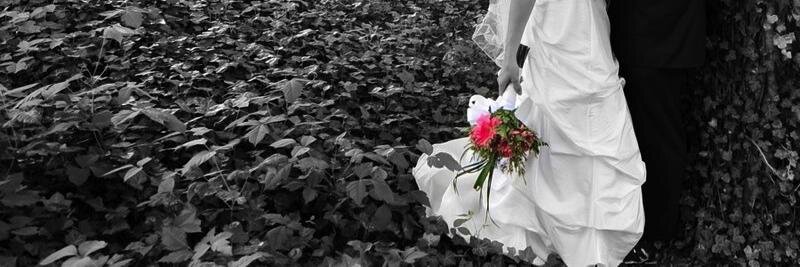 NesselrodBB's profile banner image