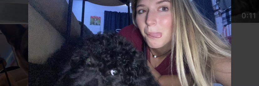beethaany22's profile banner image