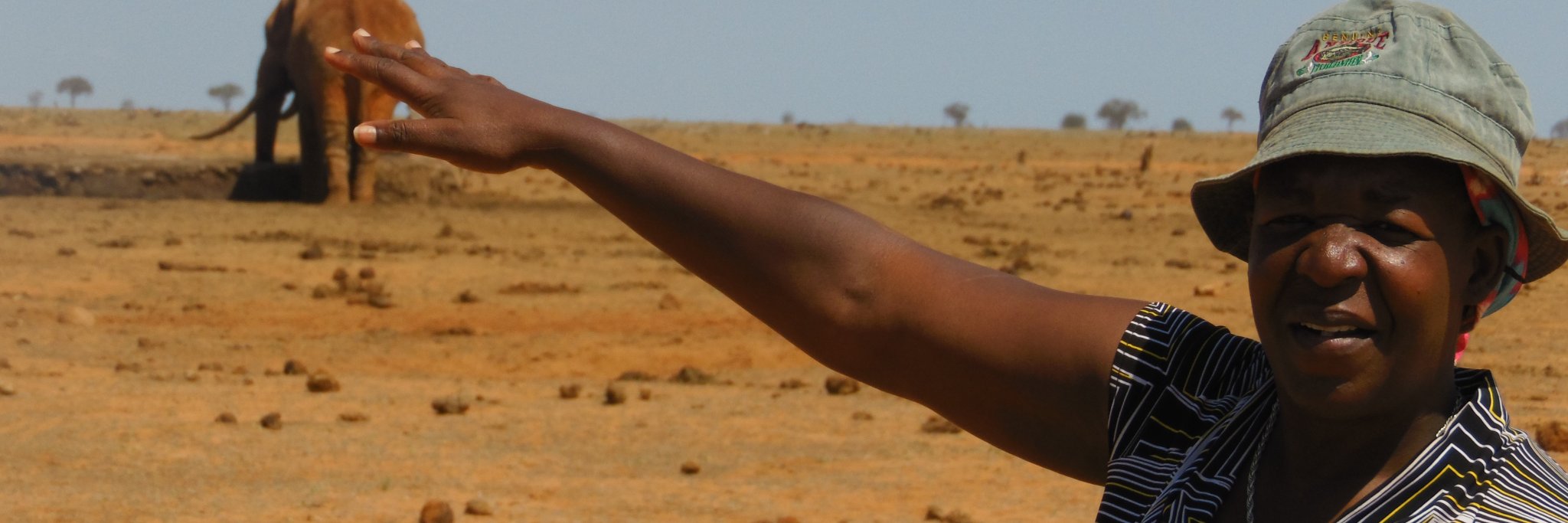 Janewegz's profile banner image