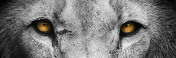 NoflyzoneZay Profile Banner