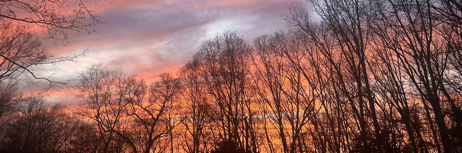 🌻 Brit 🌻 banner