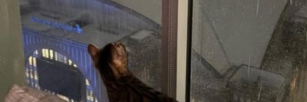 ScummN Profile Banner