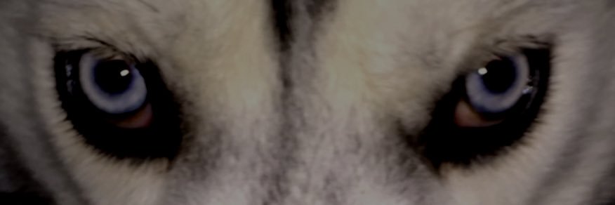 demonshadow72's profile banner image