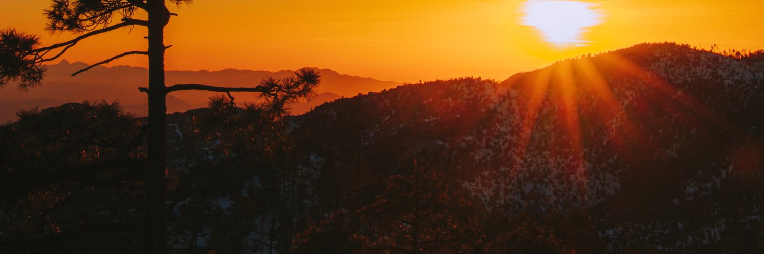 ReneCecena's profile banner image