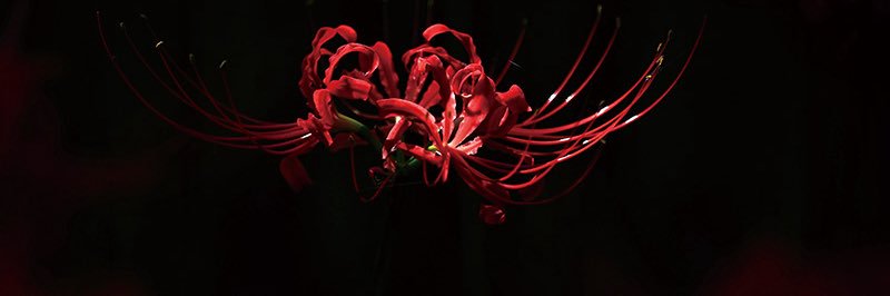 fxen__'s profile banner image