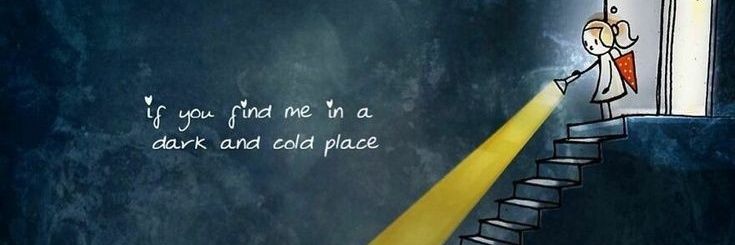Saliticoadrian's profile banner image