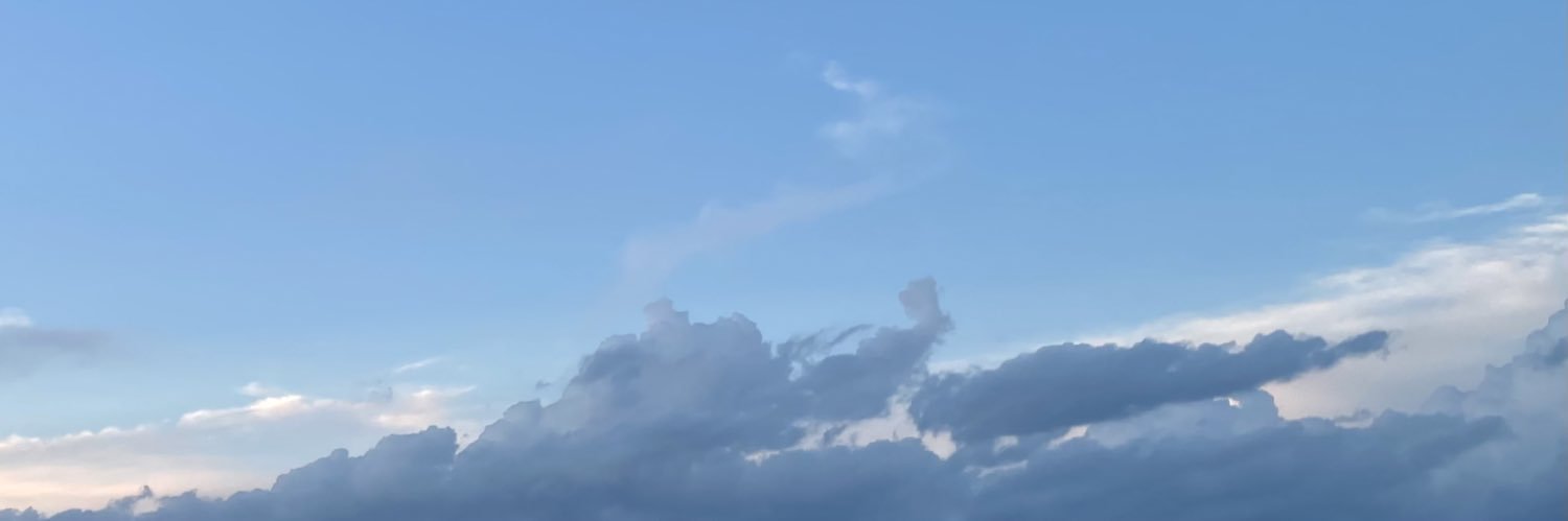 danachocoflan's profile banner image