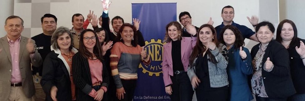 #ANEFBiobio banner