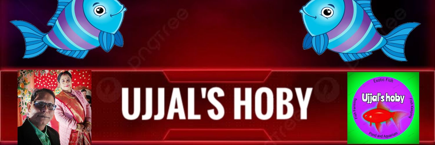 JUBRAHUL's profile banner image