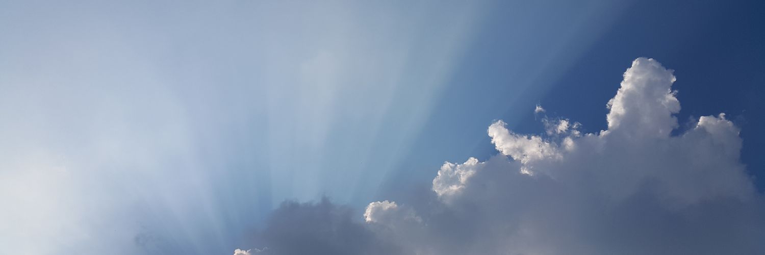 watertree171's profile banner image