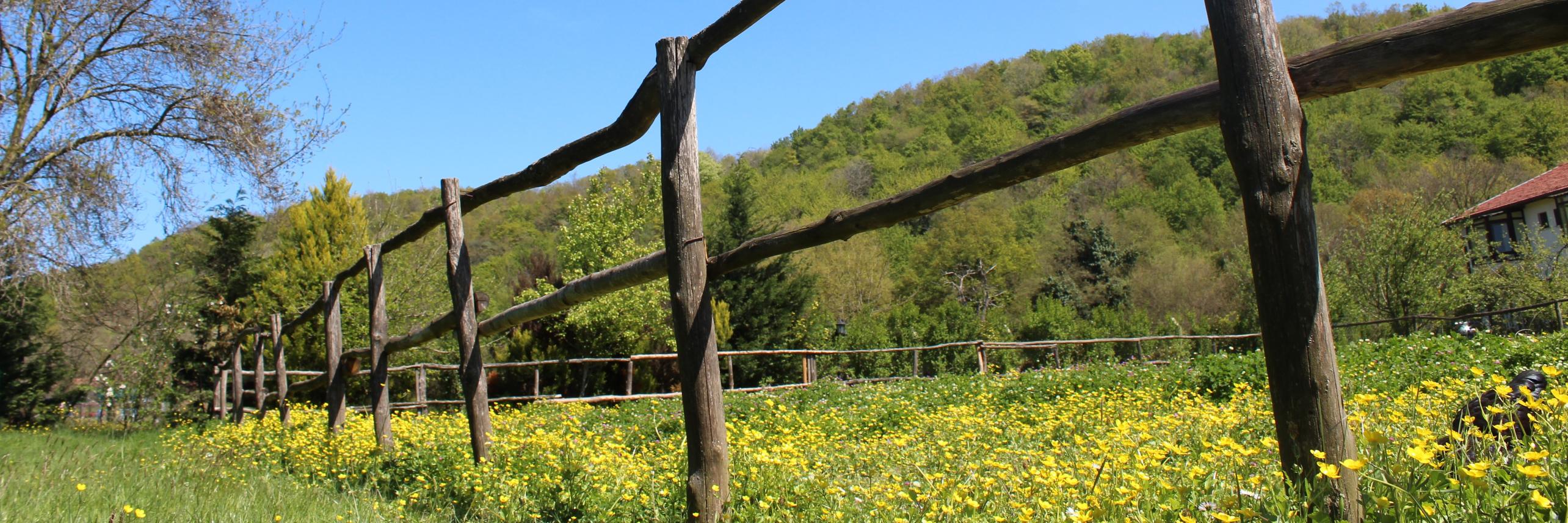 canarca's profile banner image
