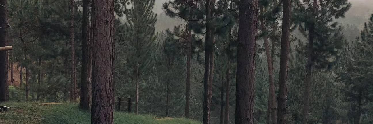 neckulas's profile banner image