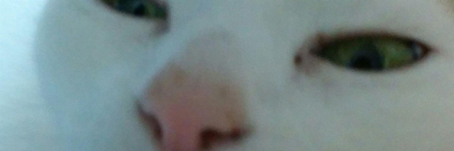 NEK_M's profile banner image