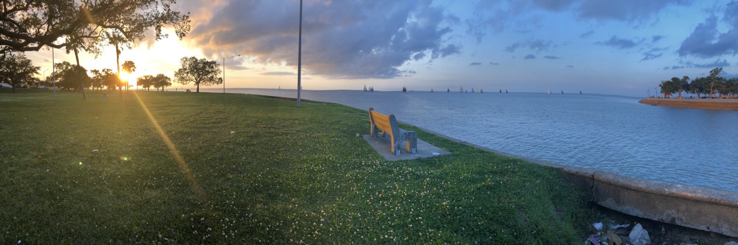 Jennifer Tu (she/her) banner