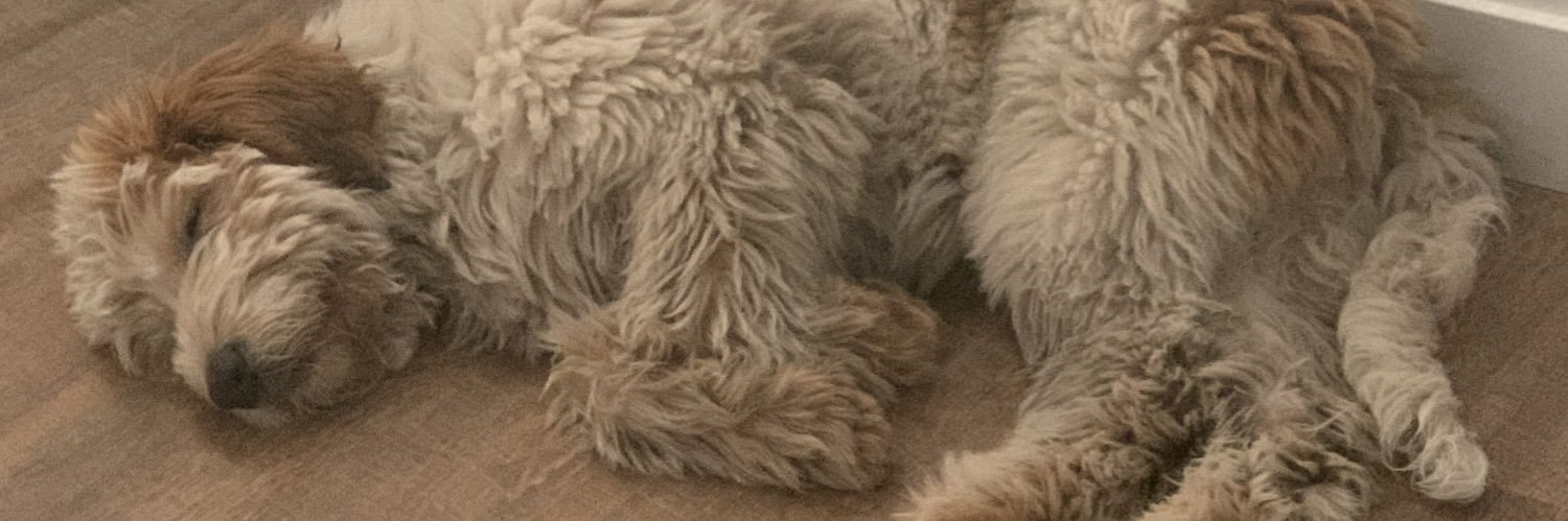willwearing's profile banner image
