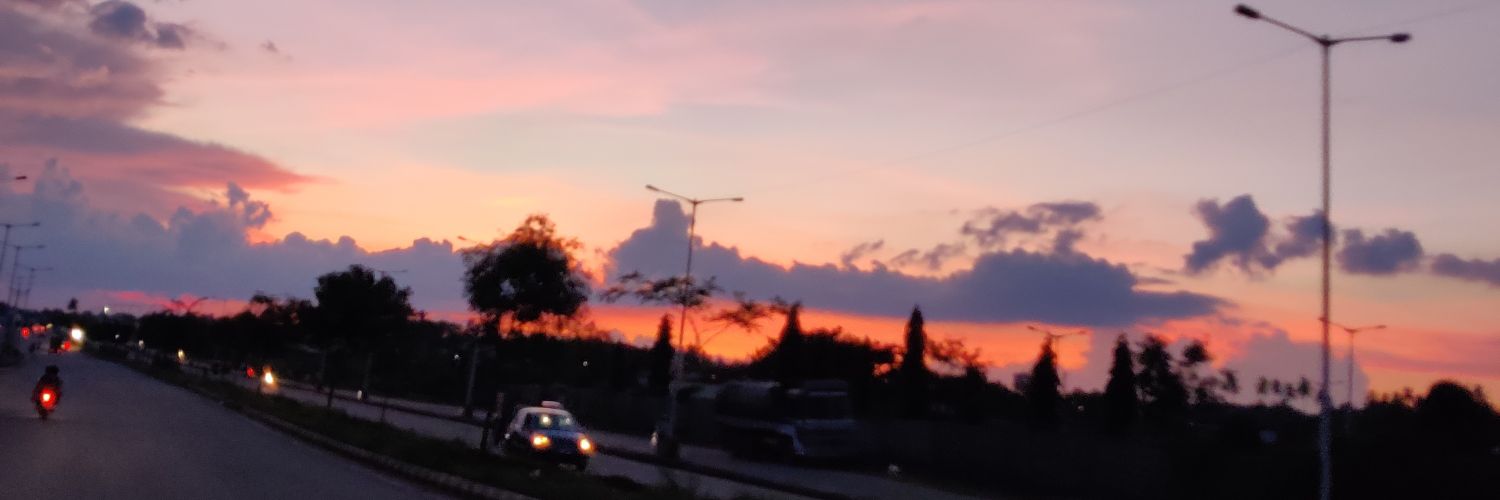 Borkar0's profile banner image
