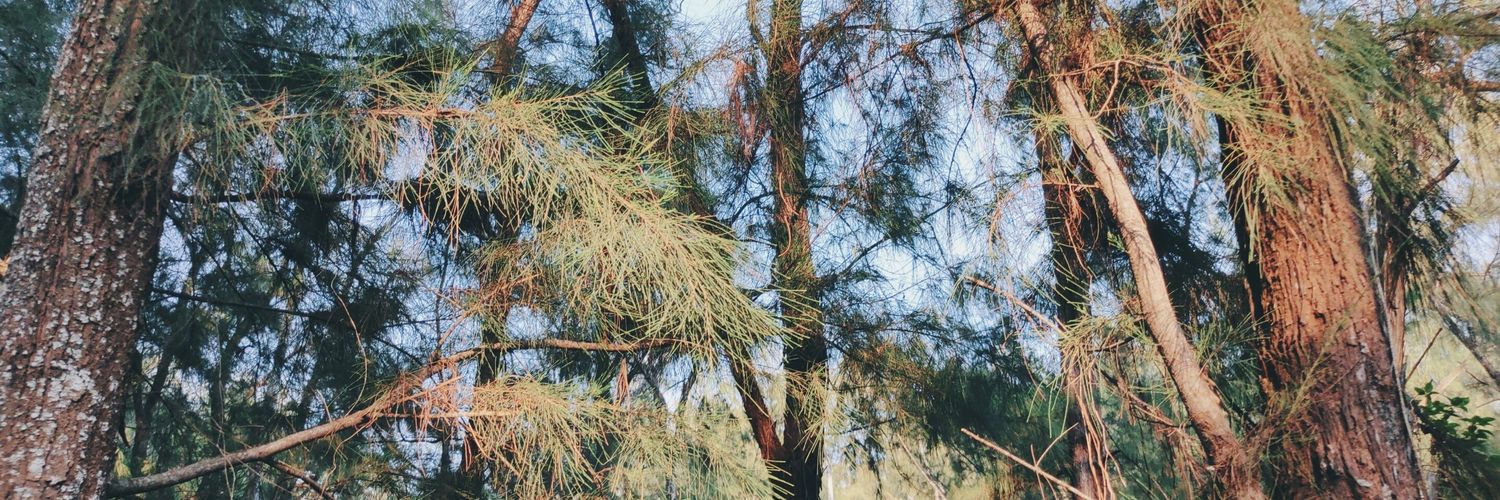 ᴄʏʟ's banner