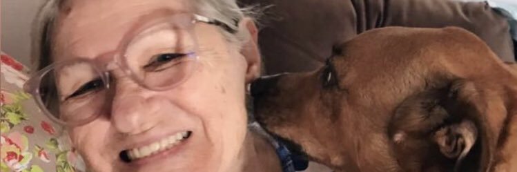 juliabrodowski's profile banner image
