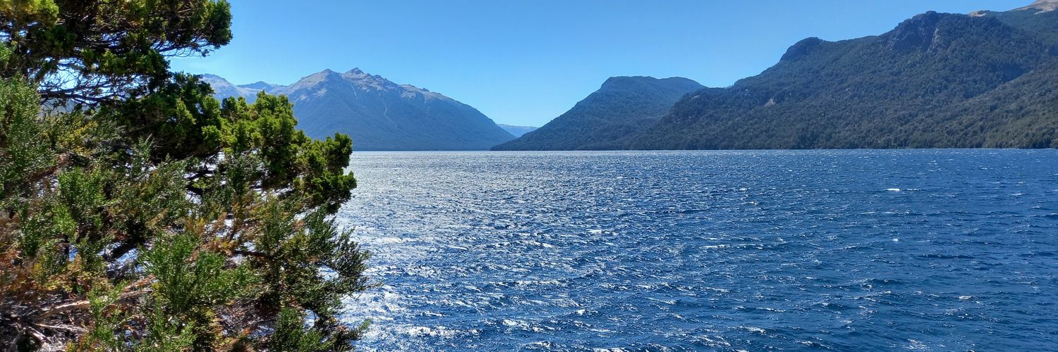 Deb Racciatti banner