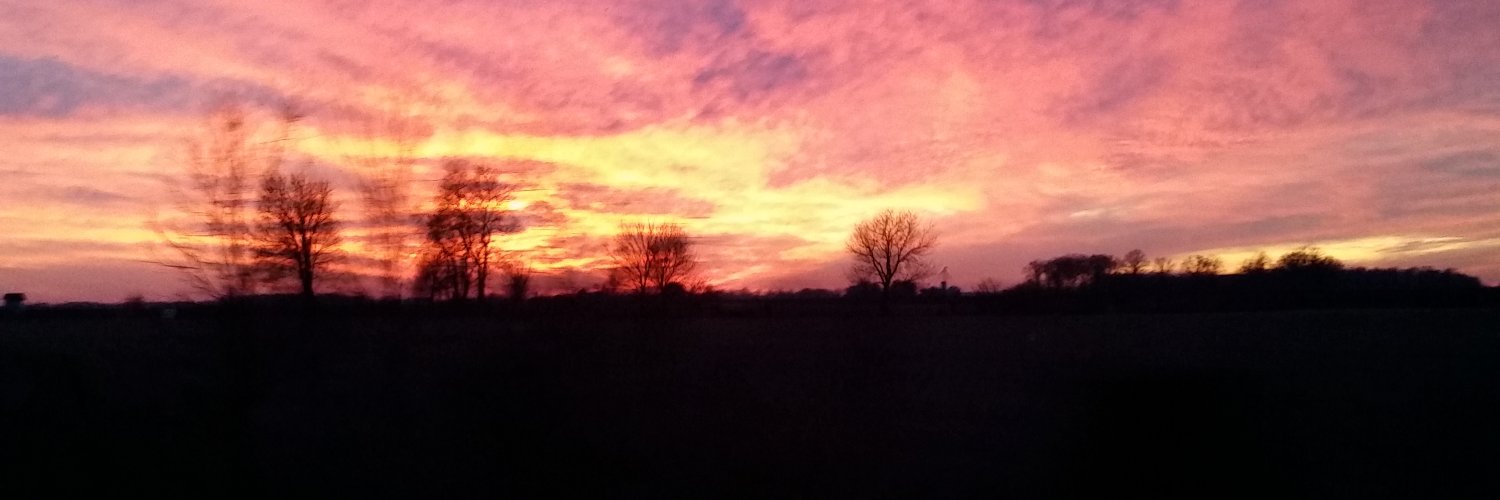 Sean Winterrowd banner