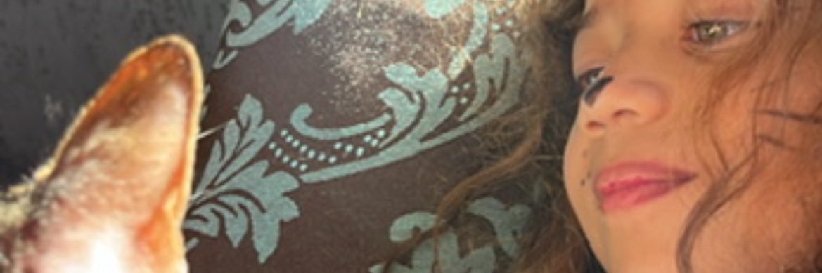 ibru_profeno's profile banner image