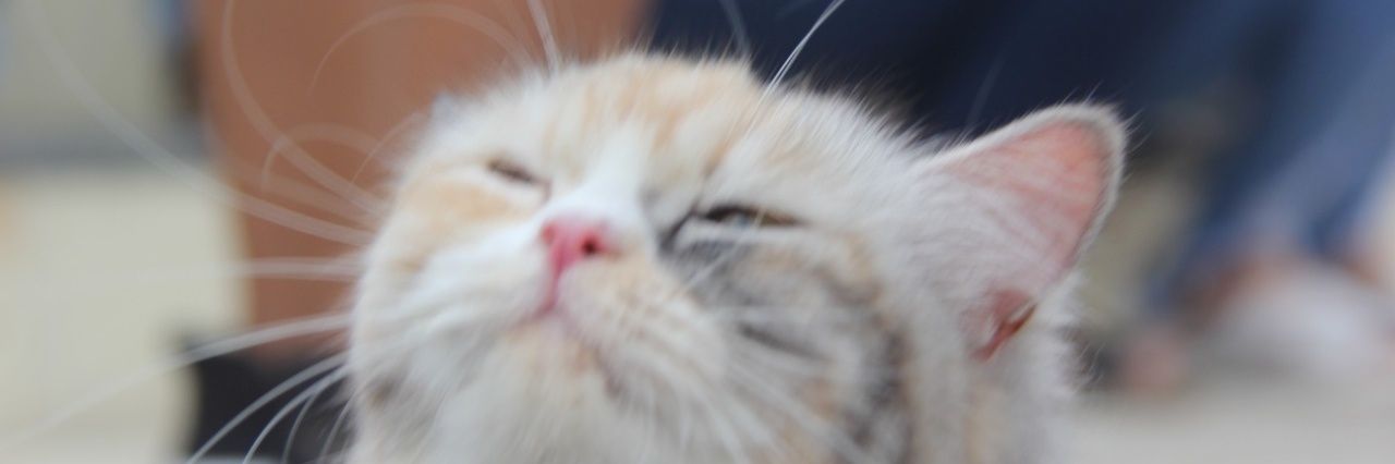 Bagusautis's profile banner image