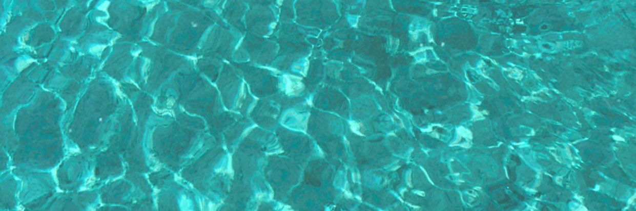 orkidegrds's profile banner image