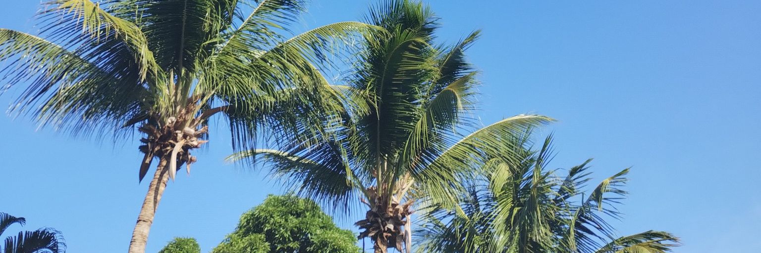 Victtomarttinez's profile banner image