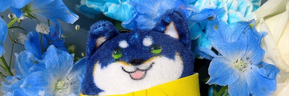 しろ汰 banner