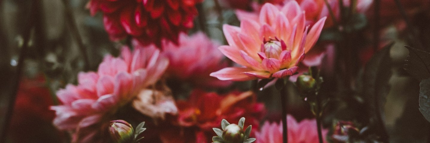 Tedesk98's profile banner image