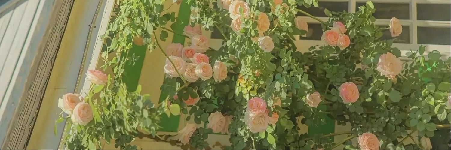 hanxiaoxiaoya's profile banner image