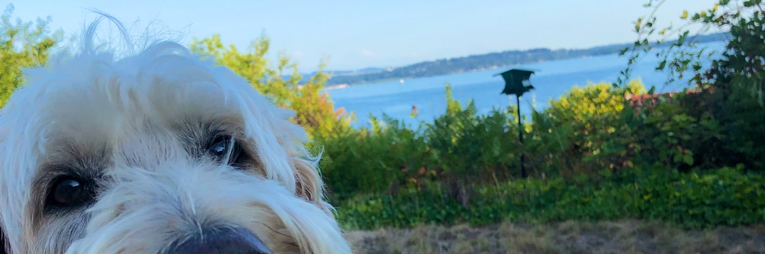 DasLucas_'s profile banner image