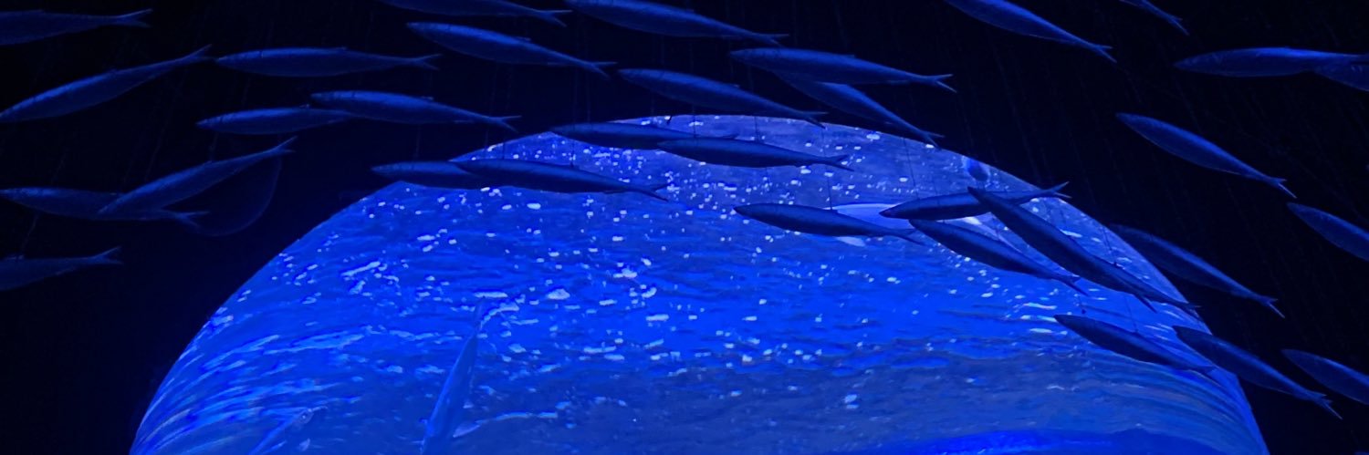 svgrplvm's profile banner image