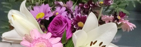 Maribel_h_a Profile Banner