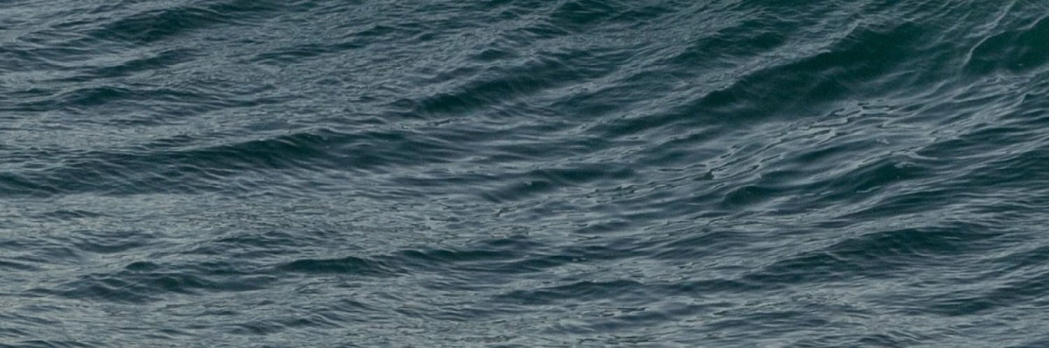 aminahsali's profile banner image