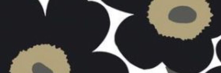minakoala's profile banner image