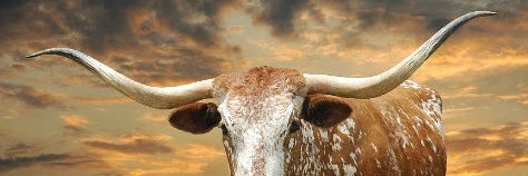 Texas Developer banner